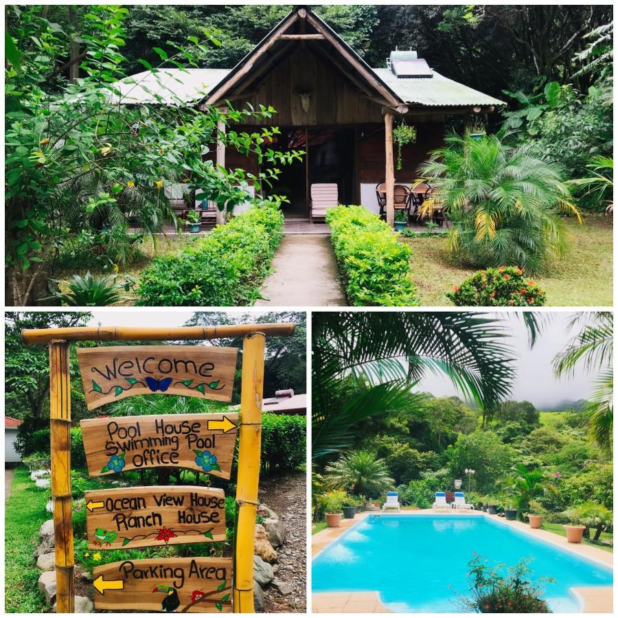 Hacienda Sassenberg Otel Miramar Dış mekan fotoğraf